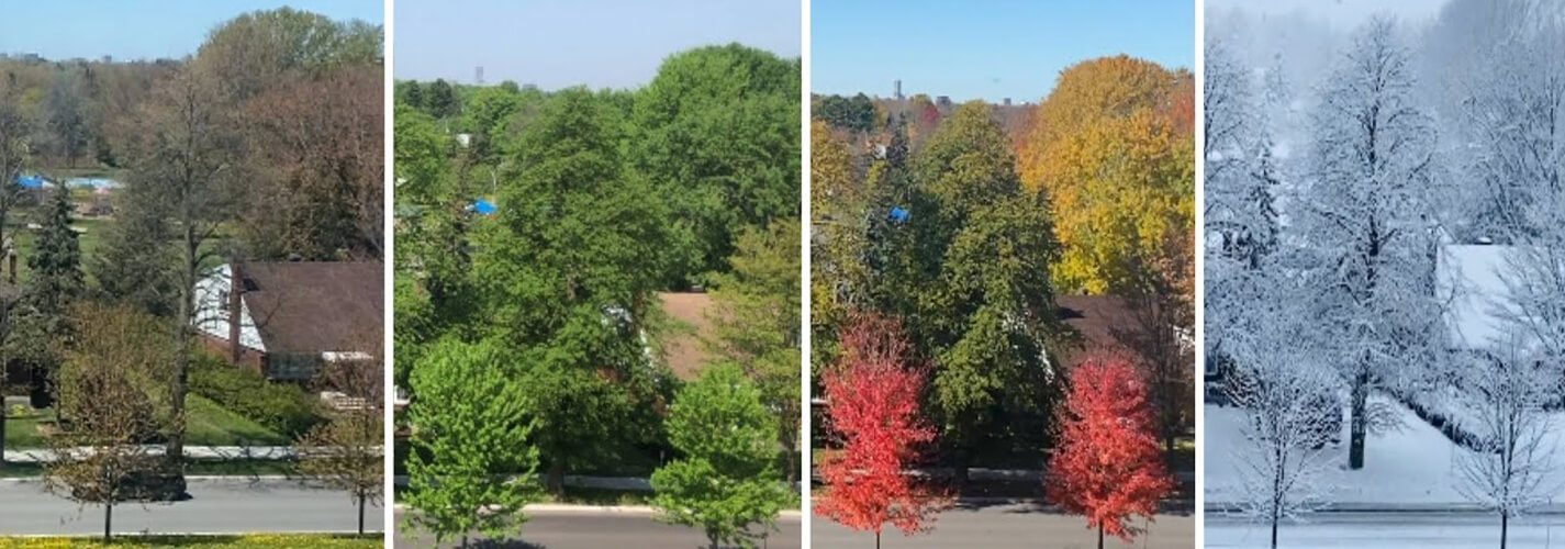 Four Distinct Seasons of Ottawa