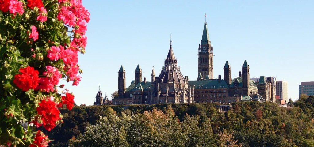 Choose the Best Ottawa Moving